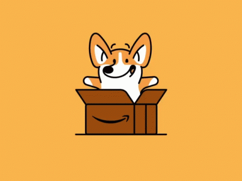Amazon corgi dog