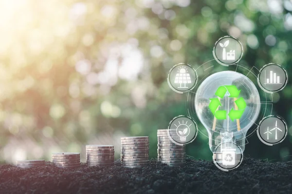 Fondos de Innovación Verde un Futuro Sostenible