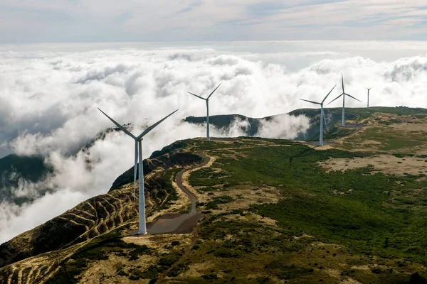Energías renovables en Sudamérica en 2025