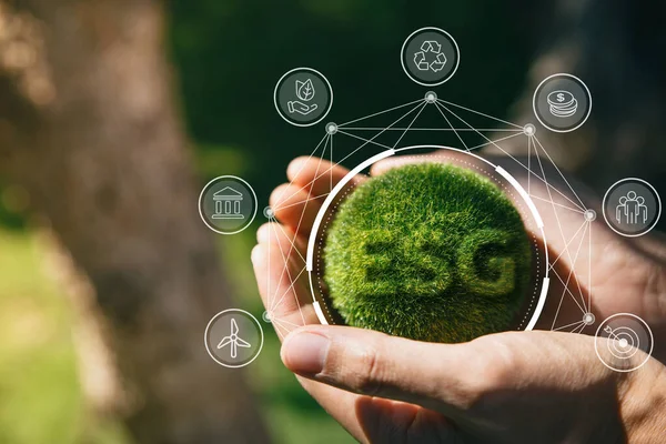 Finanzas regenerativas más allá del ESG tradicional